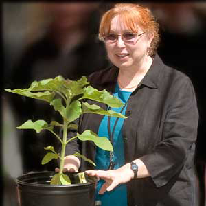 Lee Newman, PhD profile picture holding a plant