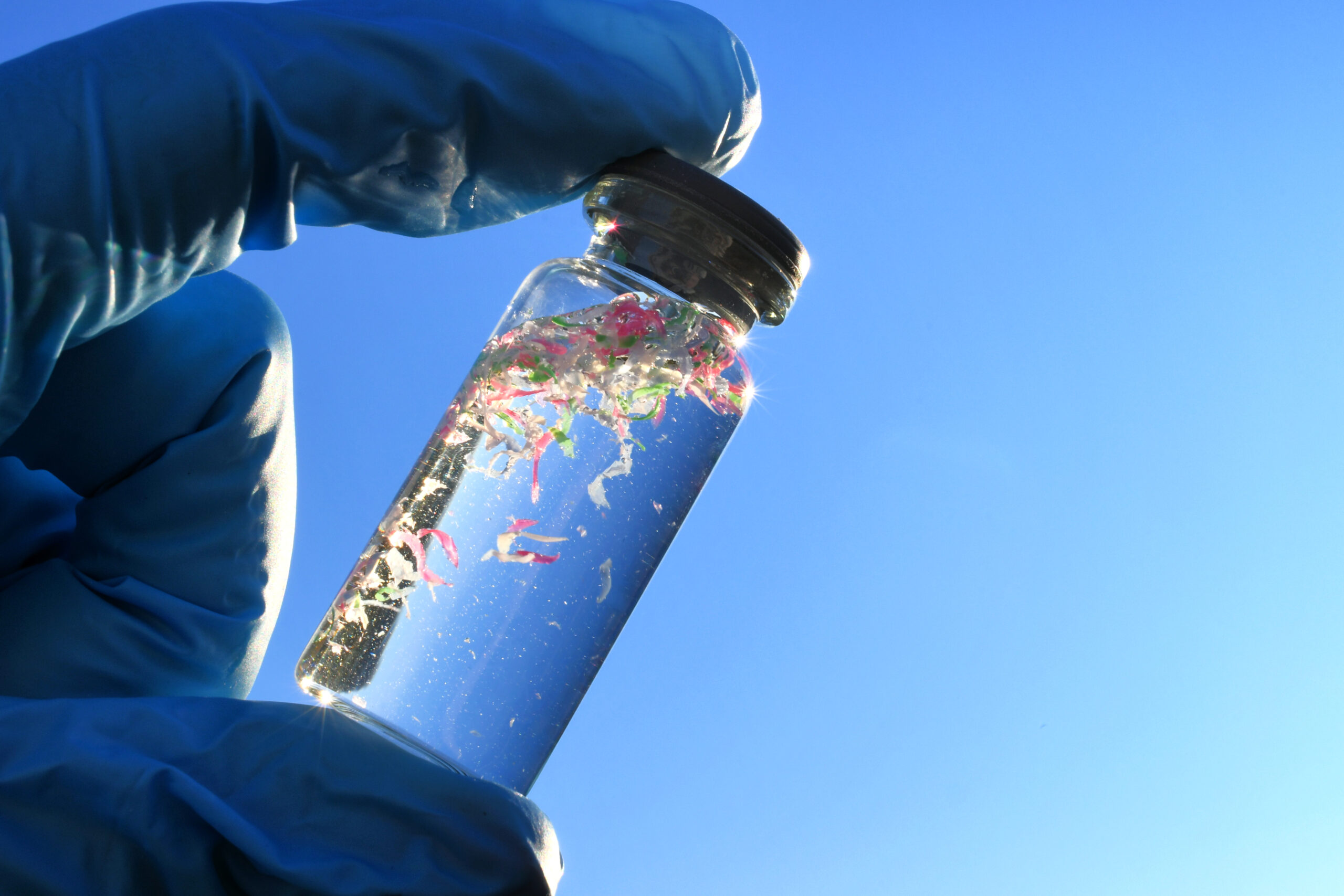 A researcher wearing a latex glove holds a vial filled with a mixture of water and small shreds of plastic.