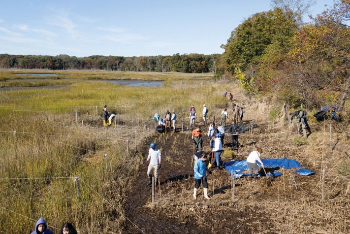 A group of people working to clean and remove debris from a wetland area