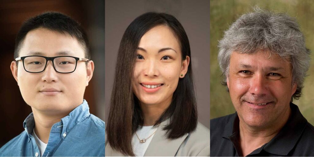 Professional headshot photos of Yang Yang, Siwen Wang, and Stefan Grimberg.